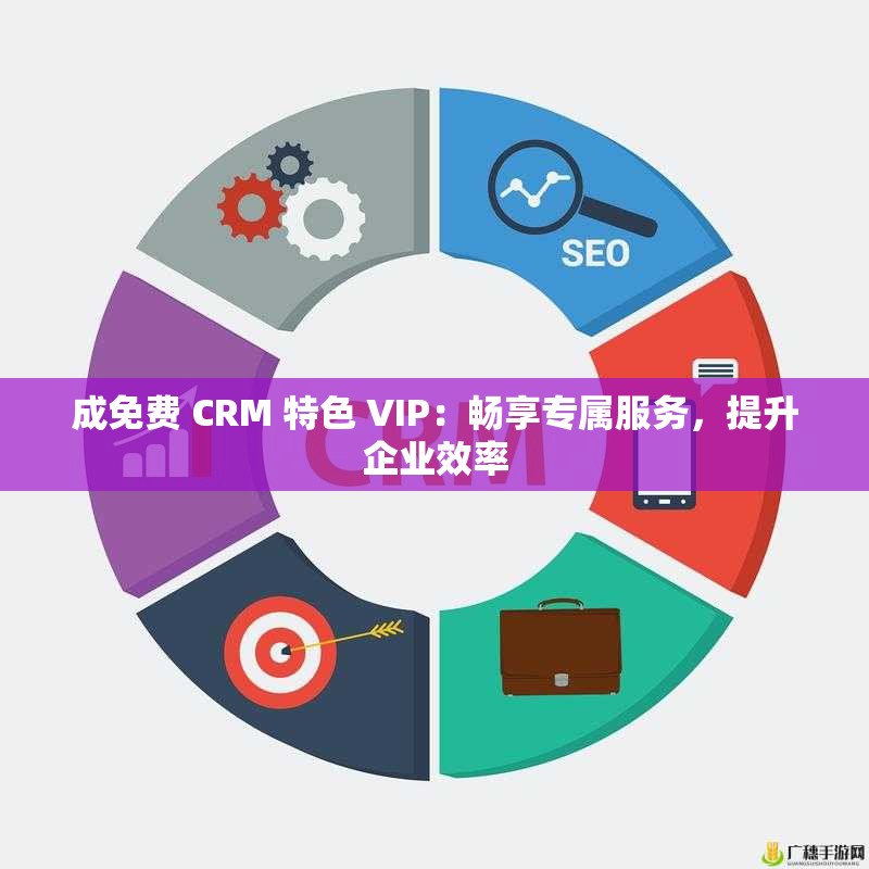 成免费 CRM 特色 VIP：畅享专属服务，提升企业效率