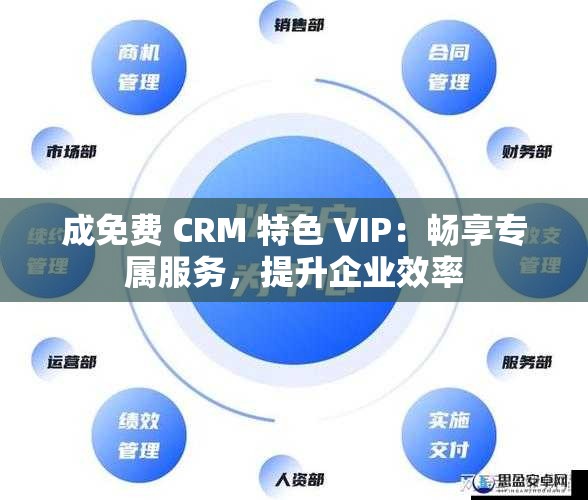 成免费 CRM 特色 VIP：畅享专属服务，提升企业效率