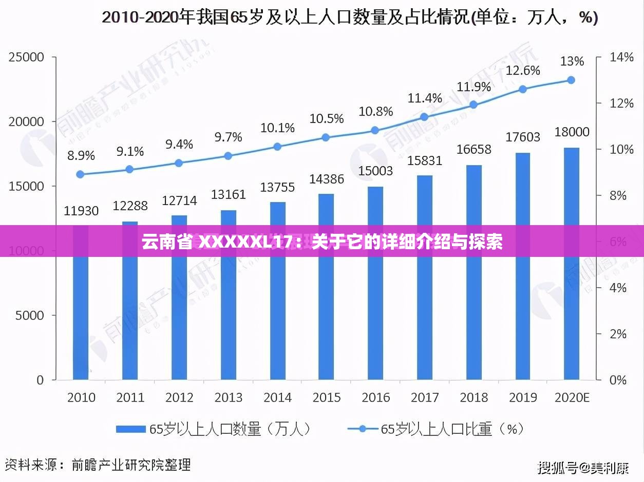 云南省 XXXXXL17：关于它的详细介绍与探索