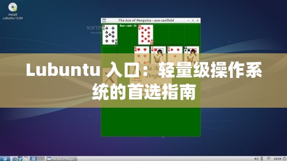 Lubuntu 入口：轻量级操作系统的首选指南