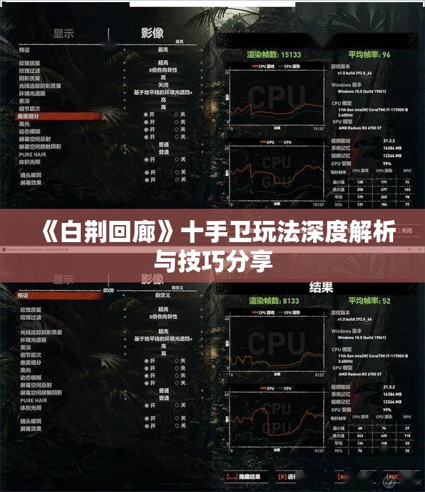 《白荆回廊》十手卫玩法深度解析与技巧分享