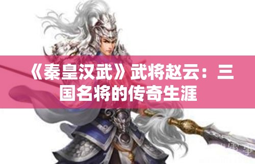 《秦皇汉武》武将赵云：三国名将的传奇生涯