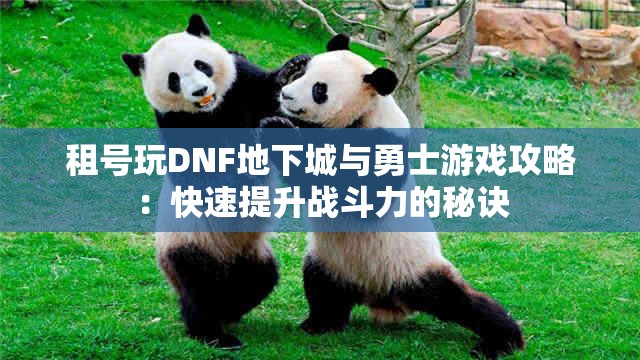 租号玩DNF地下城与勇士游戏攻略：快速提升战斗力的秘诀